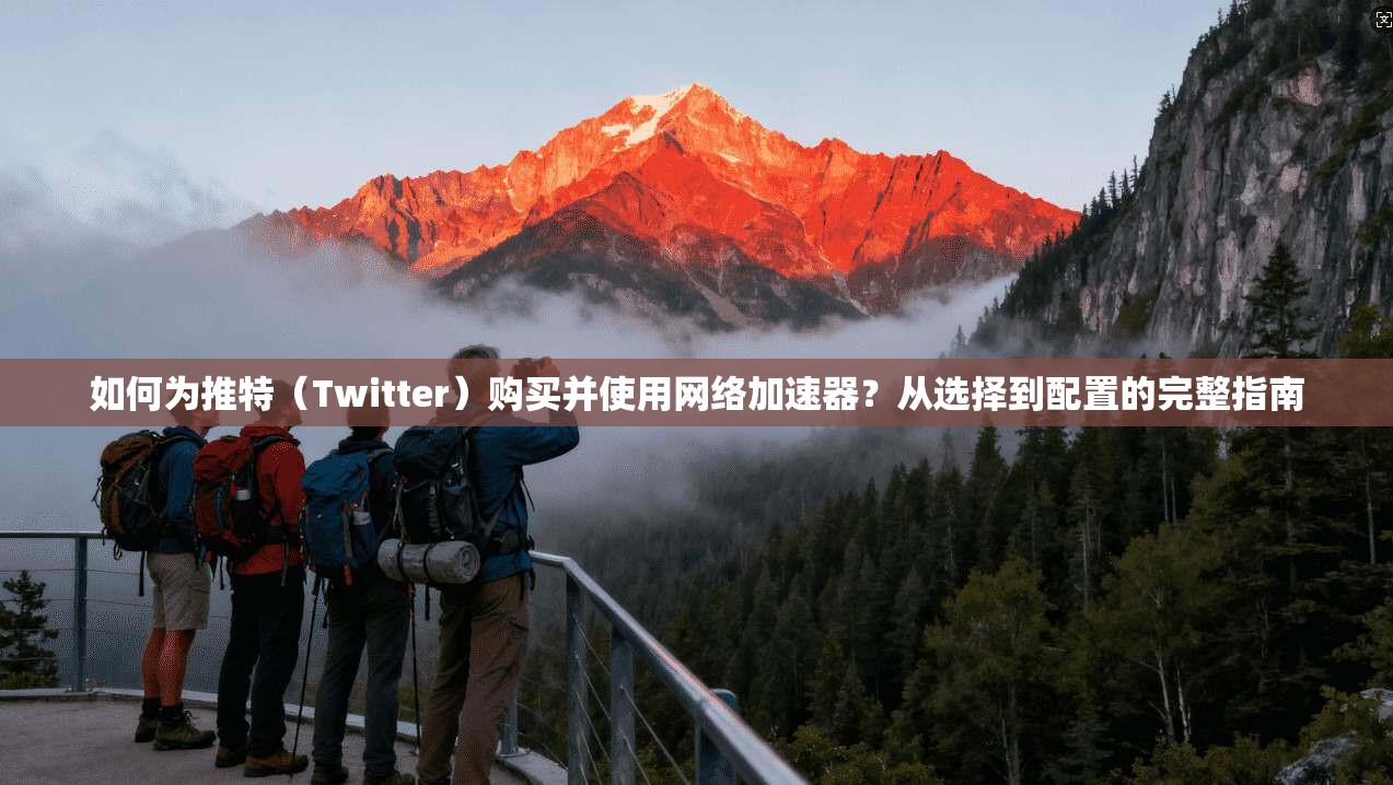 如何为推特（Twitter）购买并使用网络加速器？从选择到配置的完整指南