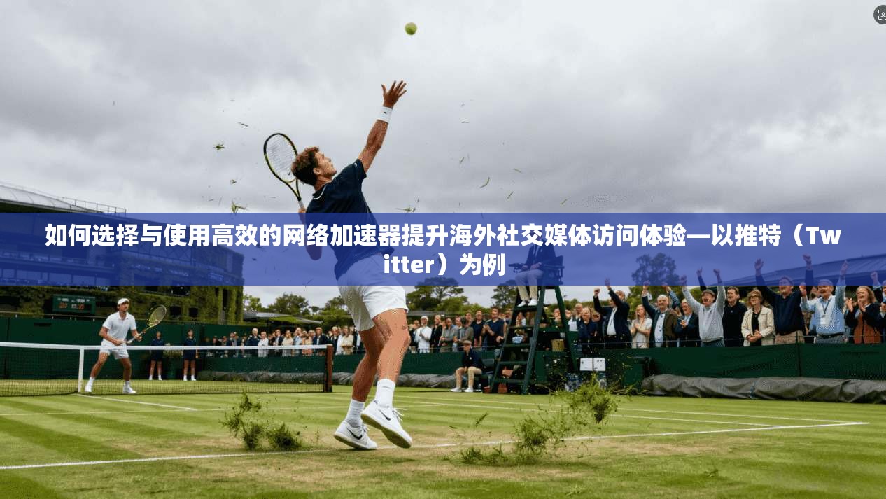 如何选择与使用高效的网络加速器提升海外社交媒体访问体验—以推特（Twitter）为例