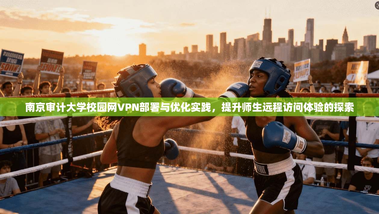 南京审计大学校园网VPN部署与优化实践，提升师生远程访问体验的探索