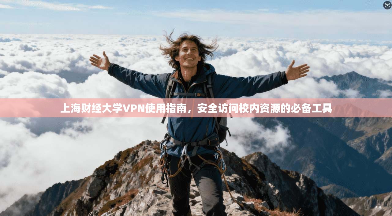上海财经大学VPN使用指南，安全访问校内资源的必备工具