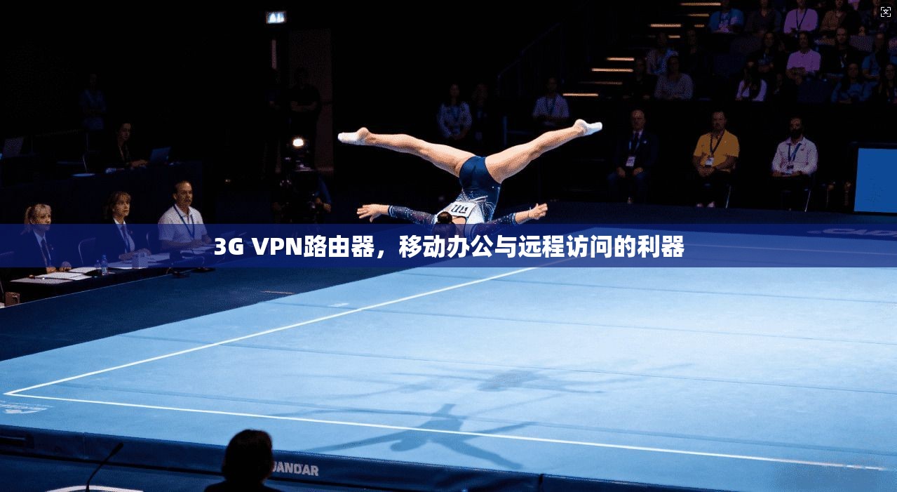 3G VPN路由器,移动办公与远程访问的利器 3G VPN路由器,移动办公与远程访问的利器