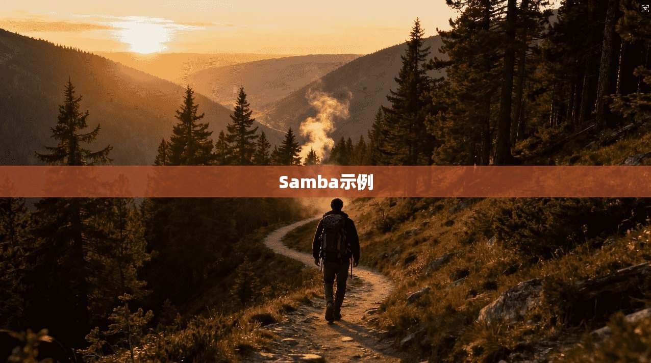 Samba示例