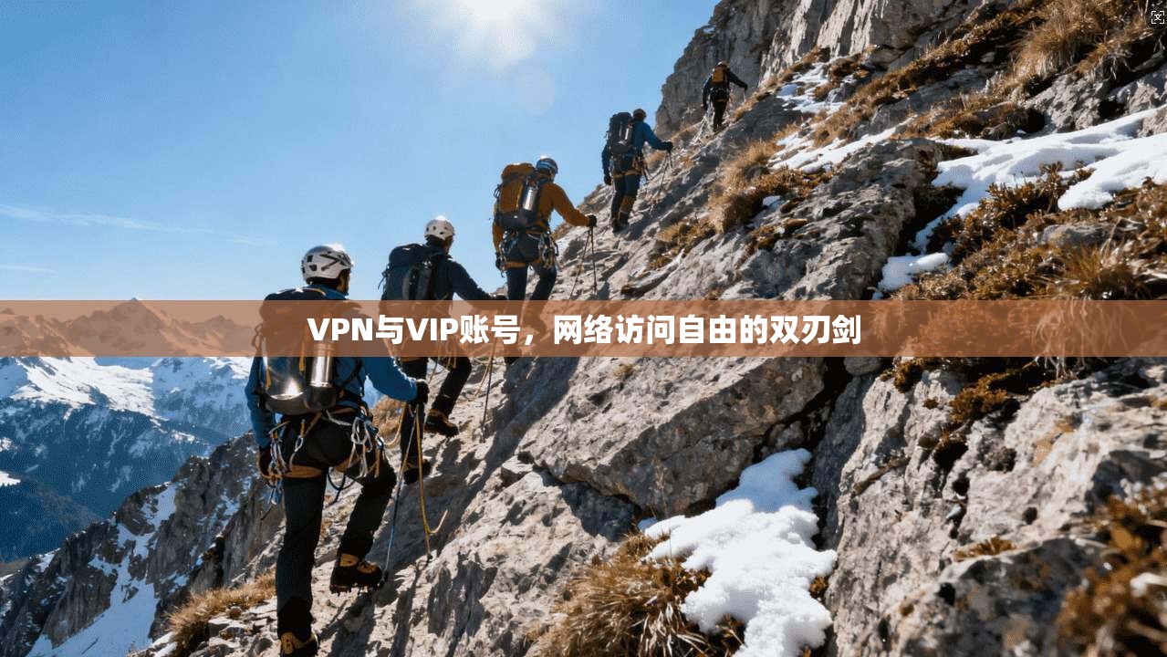 VPN与VIP账号，网络访问自由的双刃剑