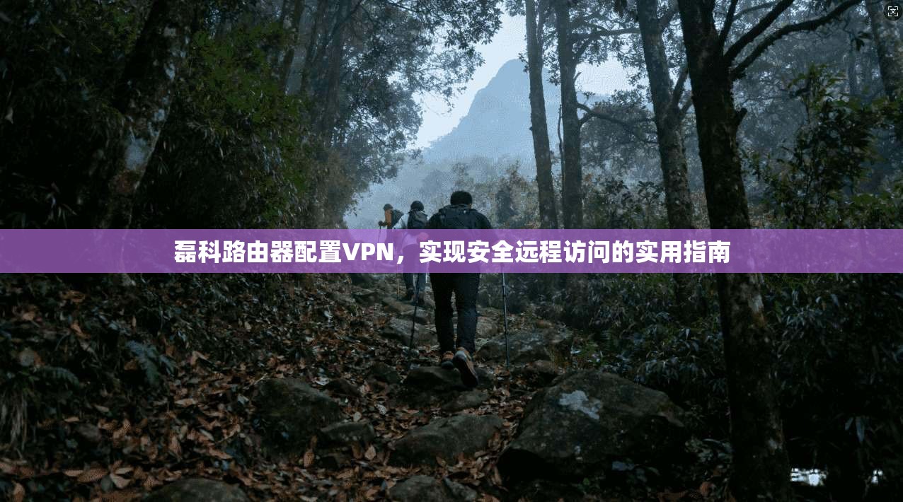 磊科路由器配置VPN，实现安全远程访问的实用指南