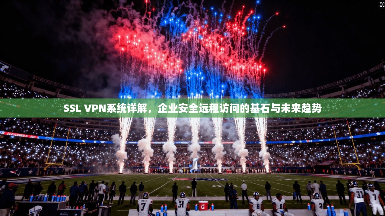 SSL VPN系统详解，企业安全远程访问的基石与未来趋势