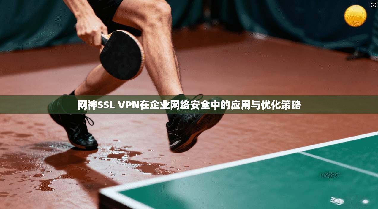 网神SSL VPN在企业网络安全中的应用与优化策略