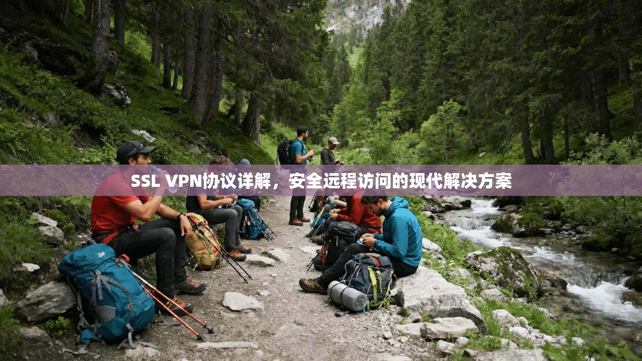 SSL VPN协议详解，安全远程访问的现代解决方案