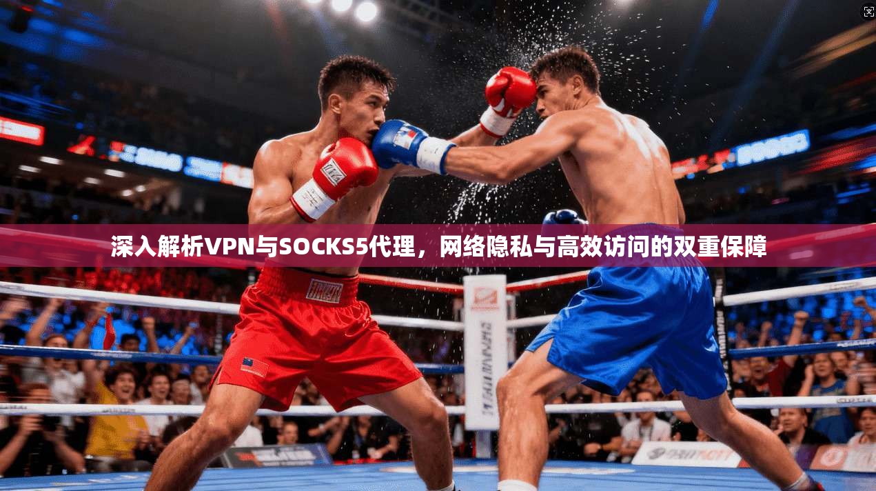 深入解析VPN与SOCKS5代理，网络隐私与高效访问的双重保障