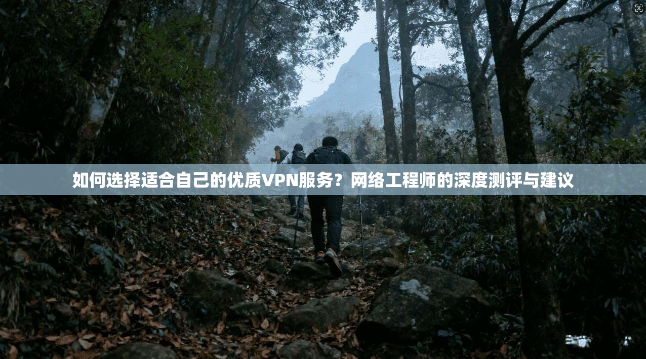 如何选择适合自己的优质VPN服务？网络工程师的深度测评与建议