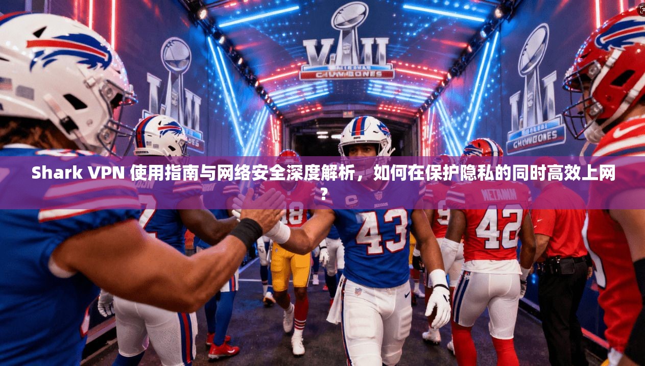 Shark VPN 使用指南与网络安全深度解析，如何在保护隐私的同时高效上网？