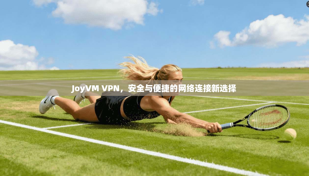 JoyVM VPN，安全与便捷的网络连接新选择