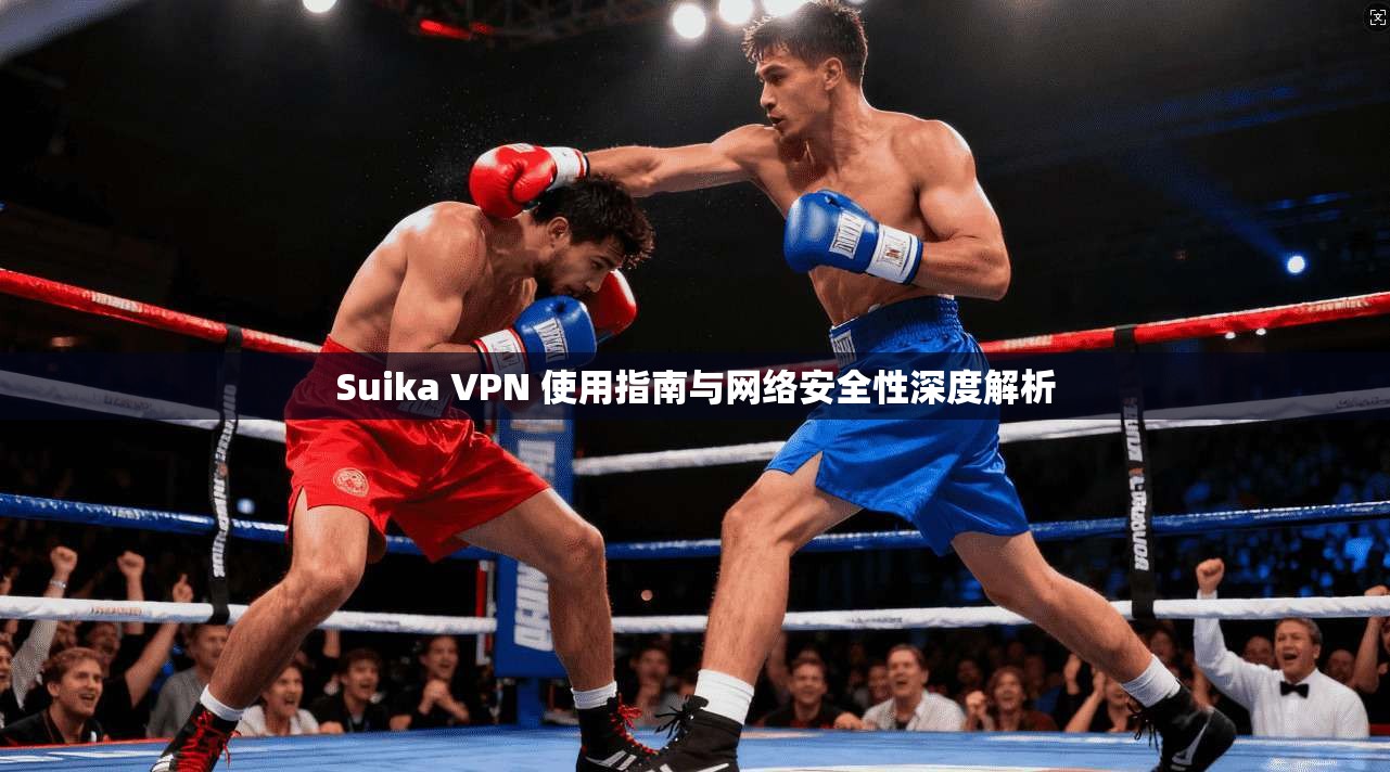 Suika VPN 使用指南与网络安全性深度解析