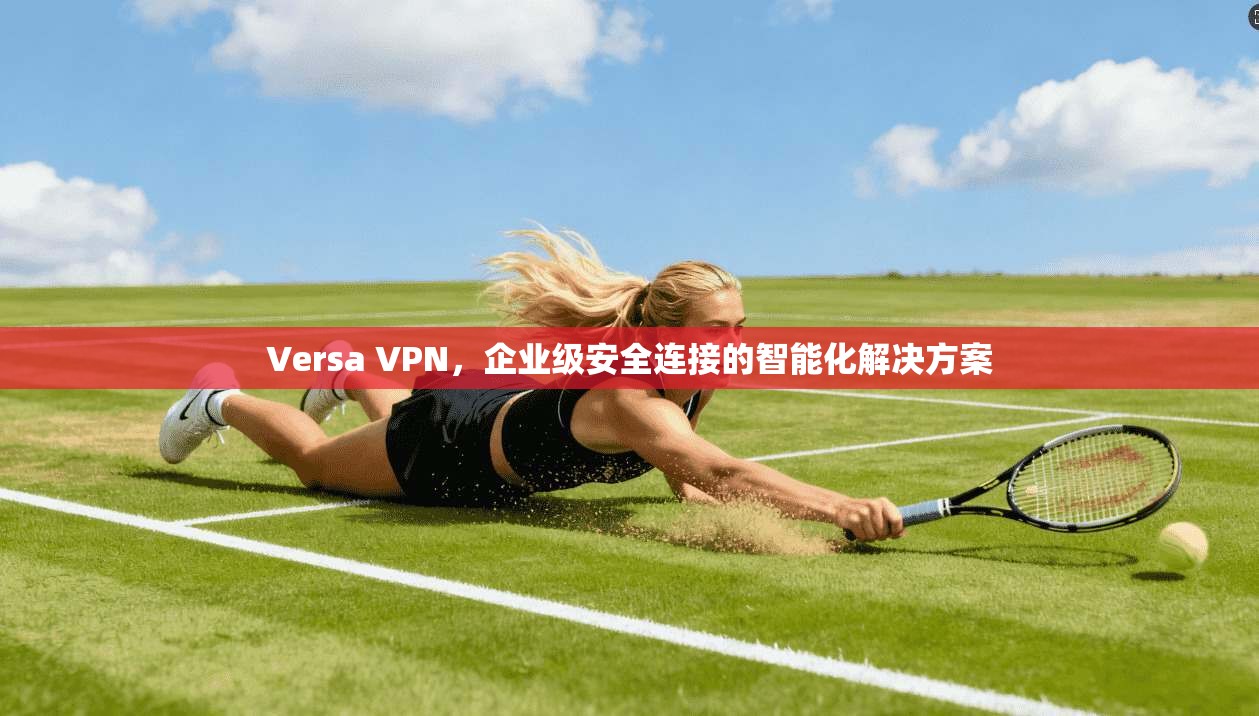 Versa VPN，企业级安全连接的智能化解决方案
