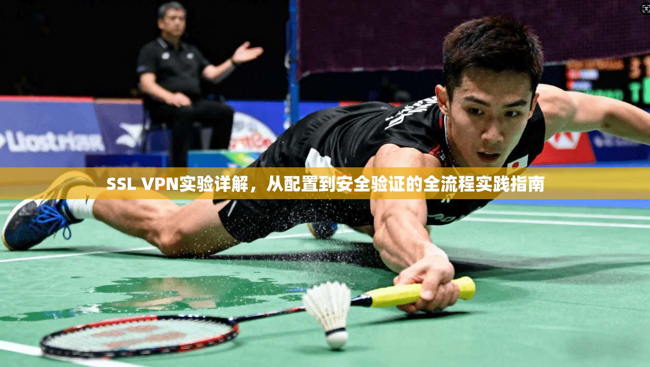 SSL VPN实验详解，从配置到安全验证的全流程实践指南