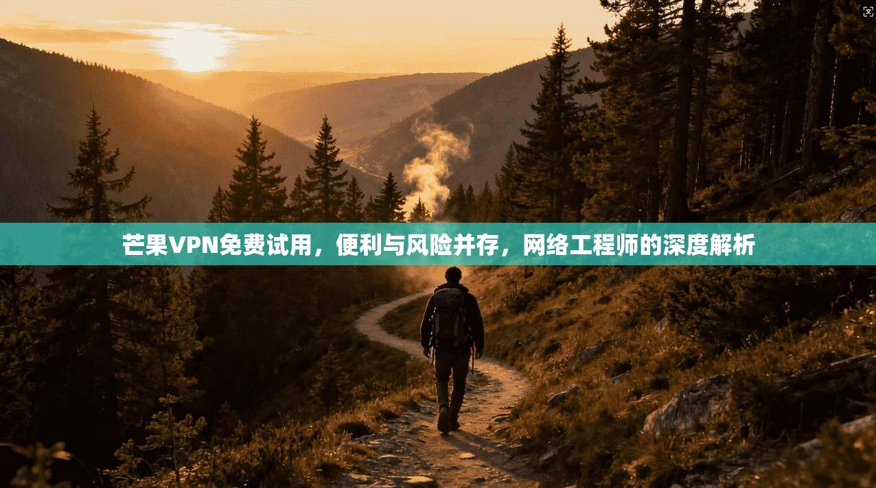 芒果VPN免费试用，便利与风险并存，网络工程师的深度解析