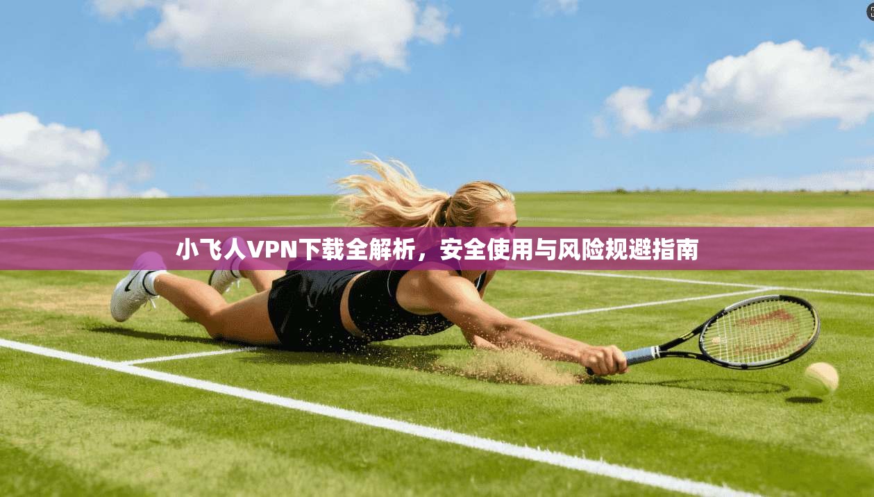 小飞人VPN下载全解析，安全使用与风险规避指南