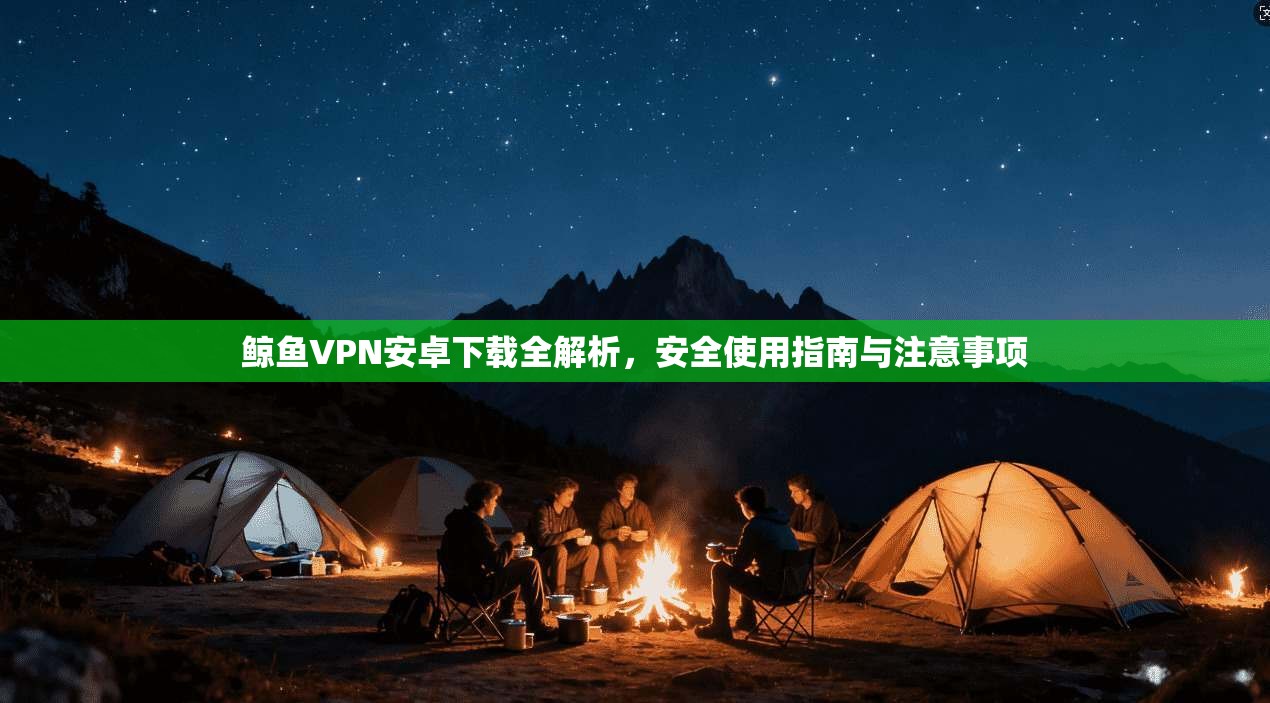 鲸鱼VPN安卓下载全解析，安全使用指南与注意事项