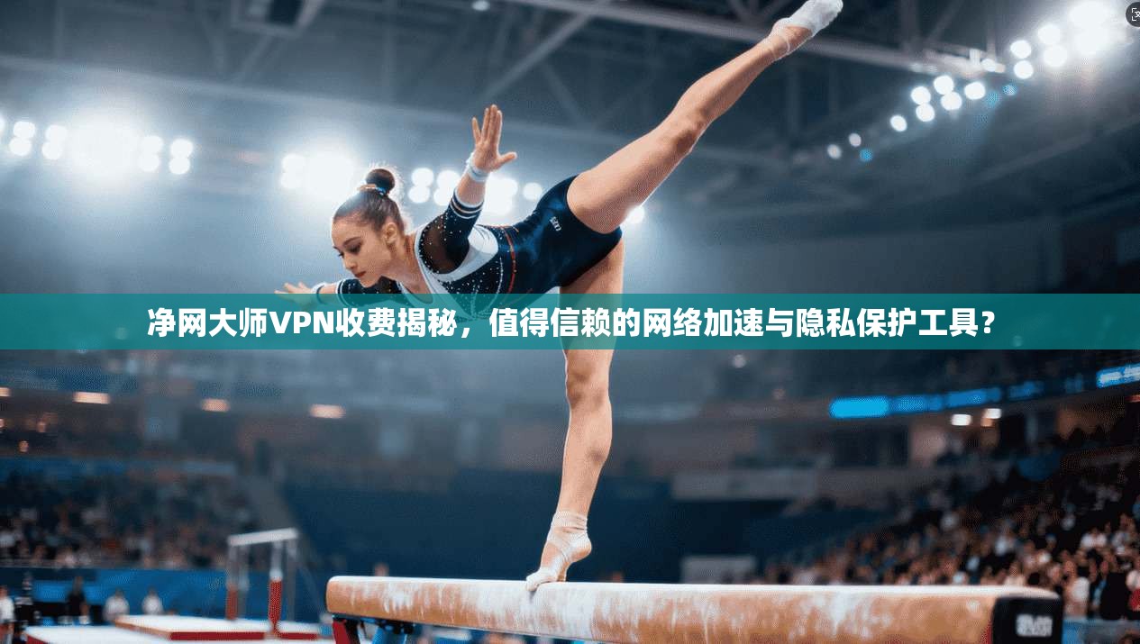 净网大师VPN收费揭秘，值得信赖的网络加速与隐私保护工具？