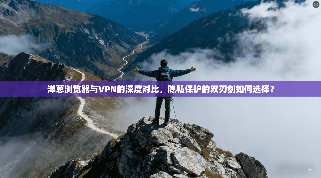 洋葱浏览器与VPN的深度对比，隐私保护的双刃剑如何选择？