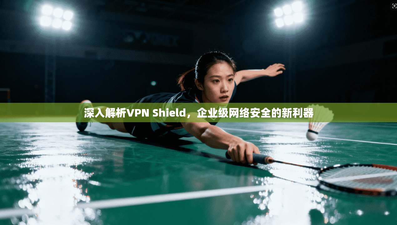 深入解析VPN Shield，企业级网络安全的新利器