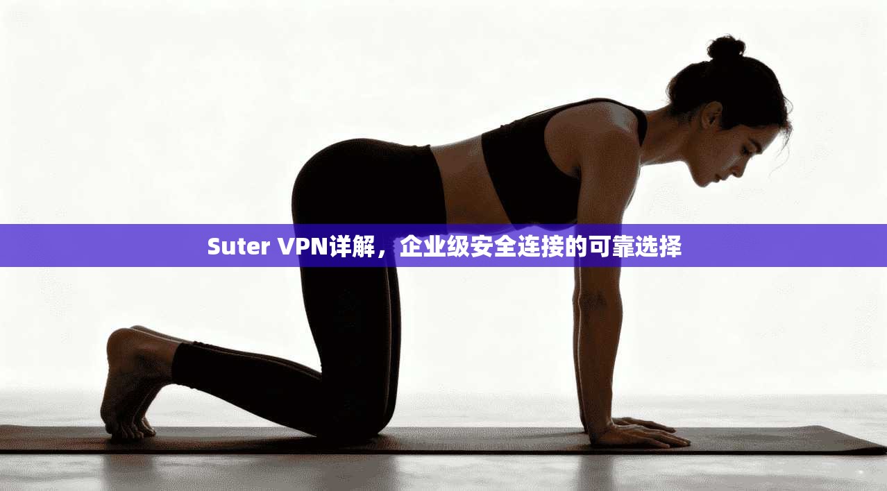 Suter VPN详解，企业级安全连接的可靠选择