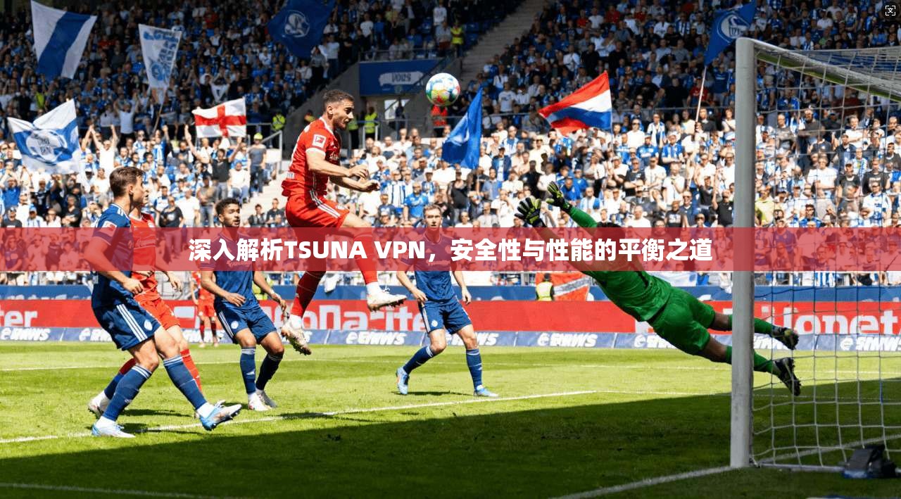 深入解析TSUNA VPN，安全性与性能的平衡之道