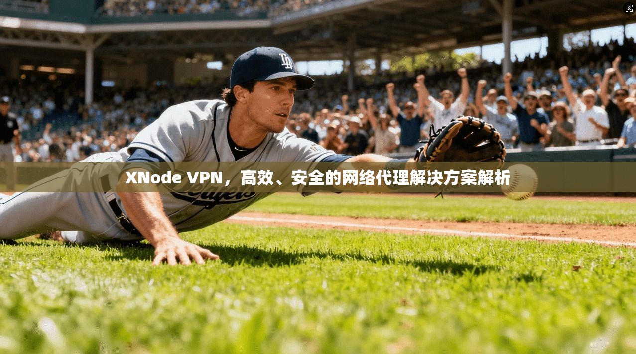 XNode VPN，高效、安全的网络代理解决方案解析