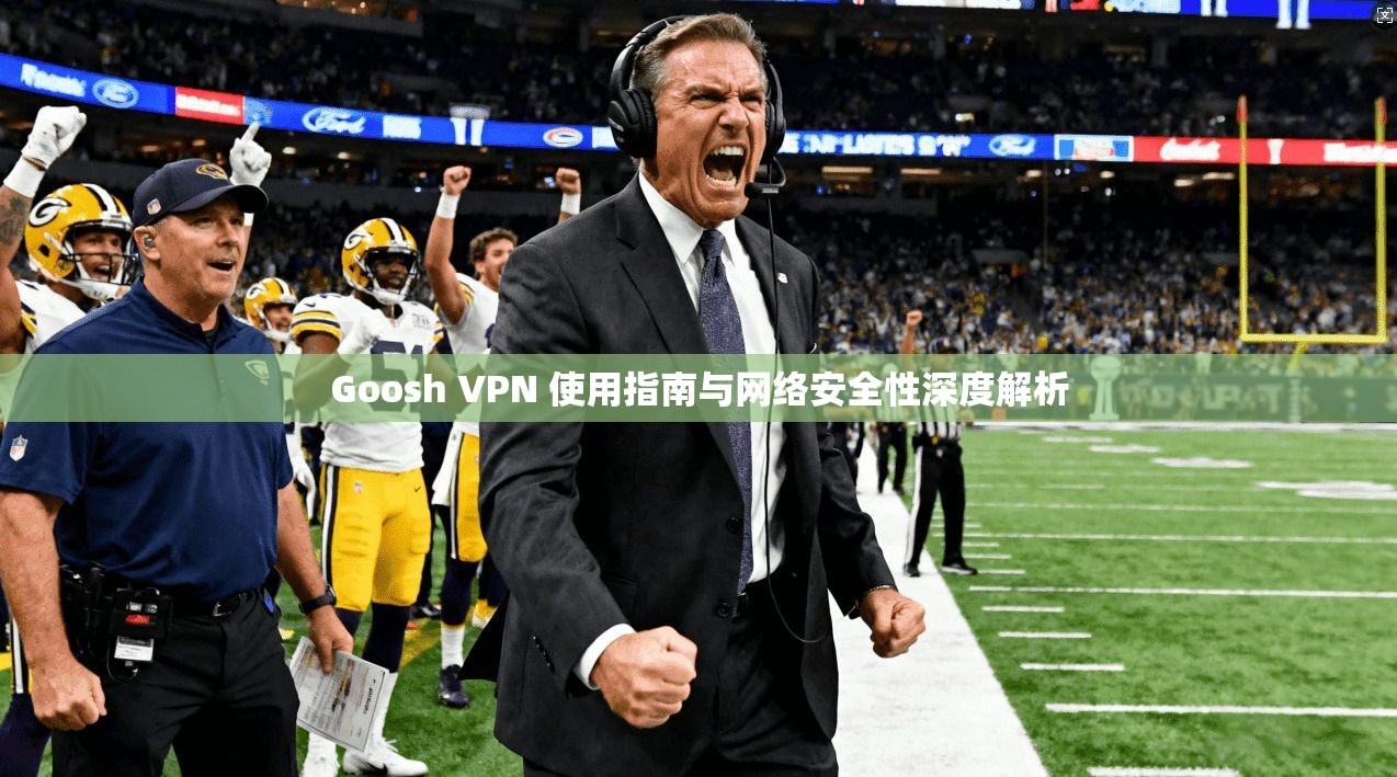 Goosh VPN 使用指南与网络安全性深度解析