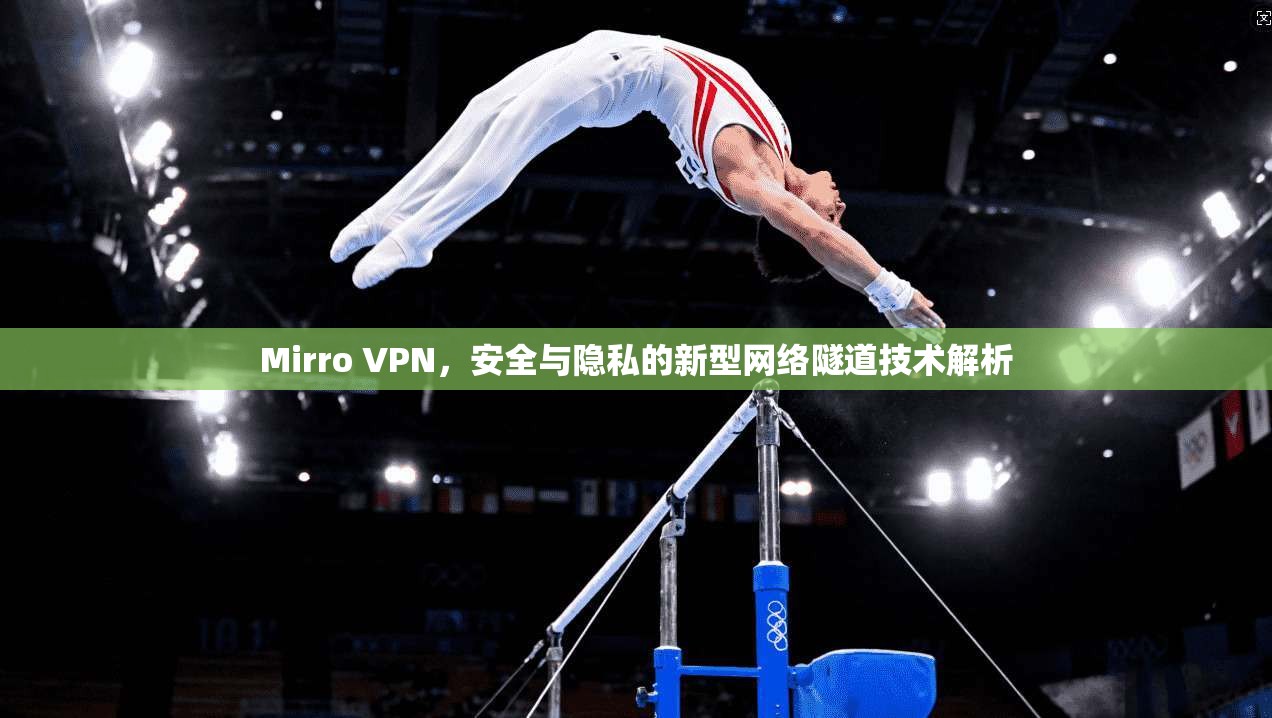 Mirro VPN，安全与隐私的新型网络隧道技术解析