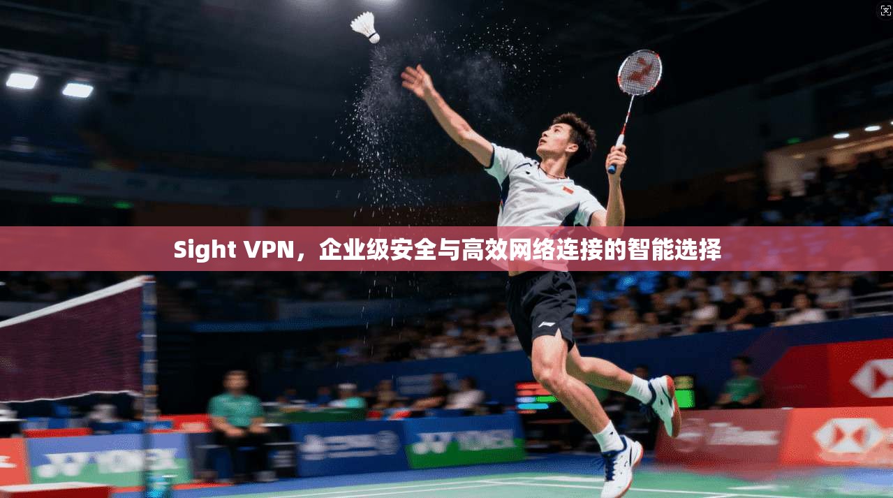 Sight VPN，企业级安全与高效网络连接的智能选择