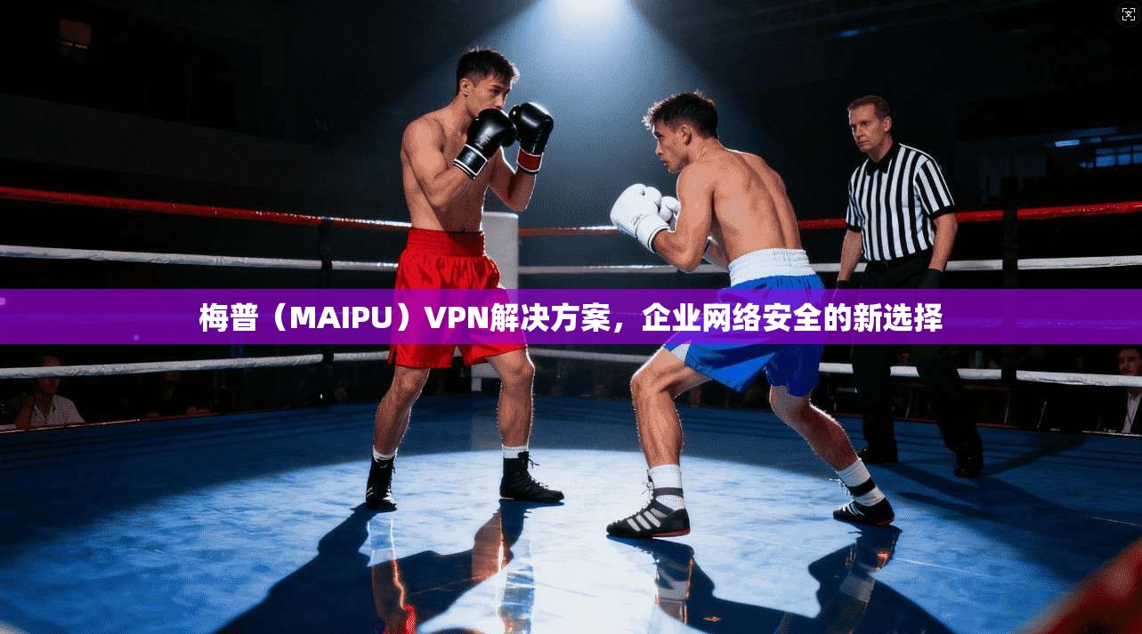 梅普（MAIPU）VPN解决方案，企业网络安全的新选择