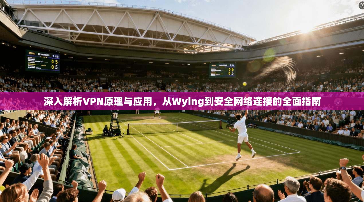深入解析VPN原理与应用，从Wying到安全网络连接的全面指南
