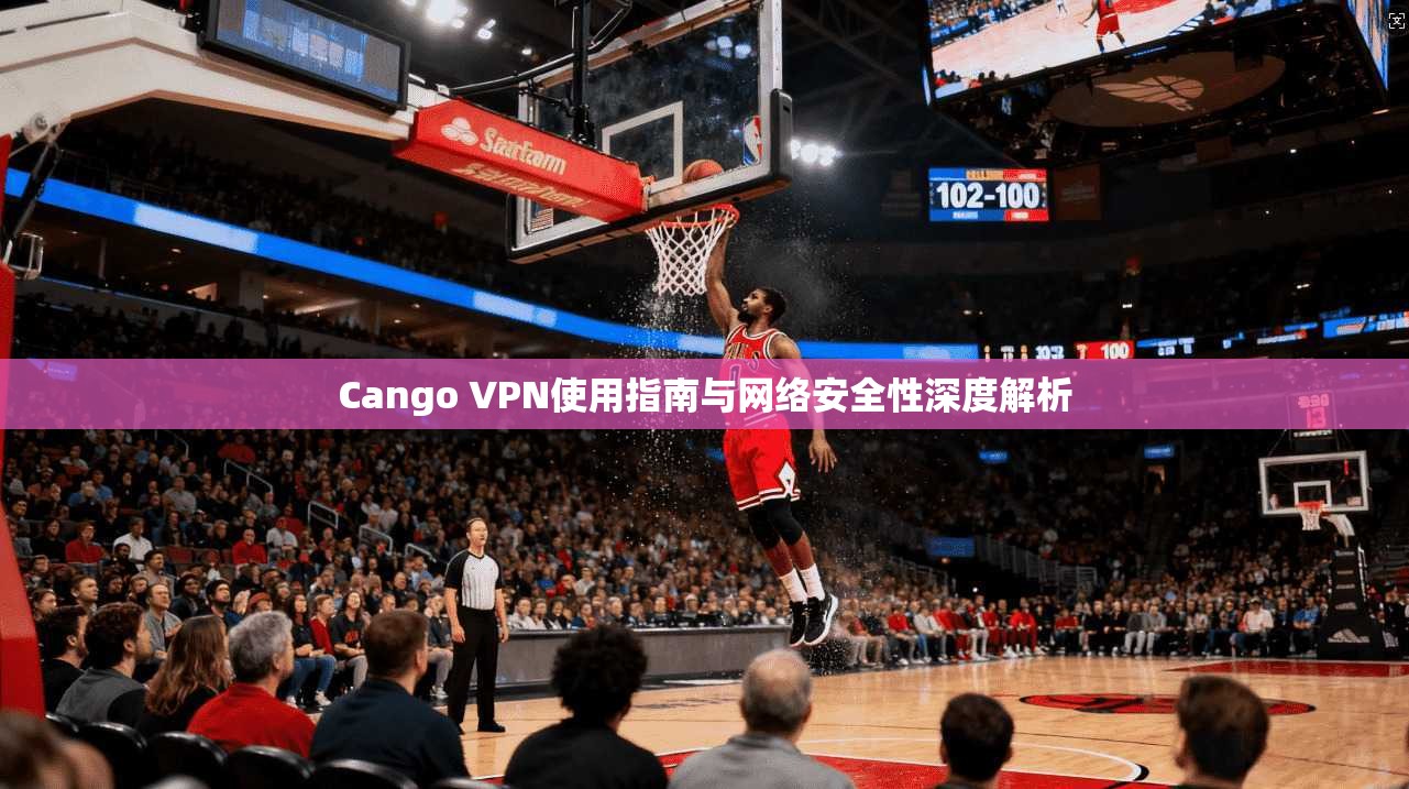 Cango VPN使用指南与网络安全性深度解析