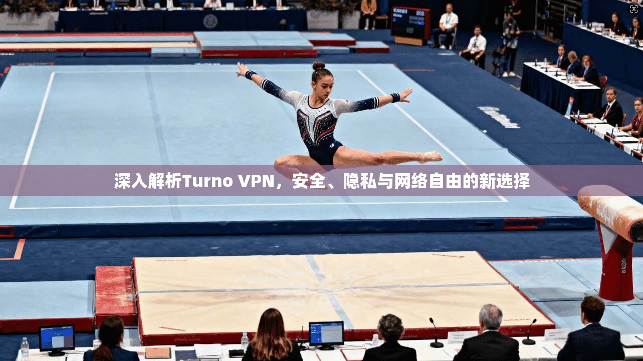 深入解析Turno VPN，安全、隐私与网络自由的新选择