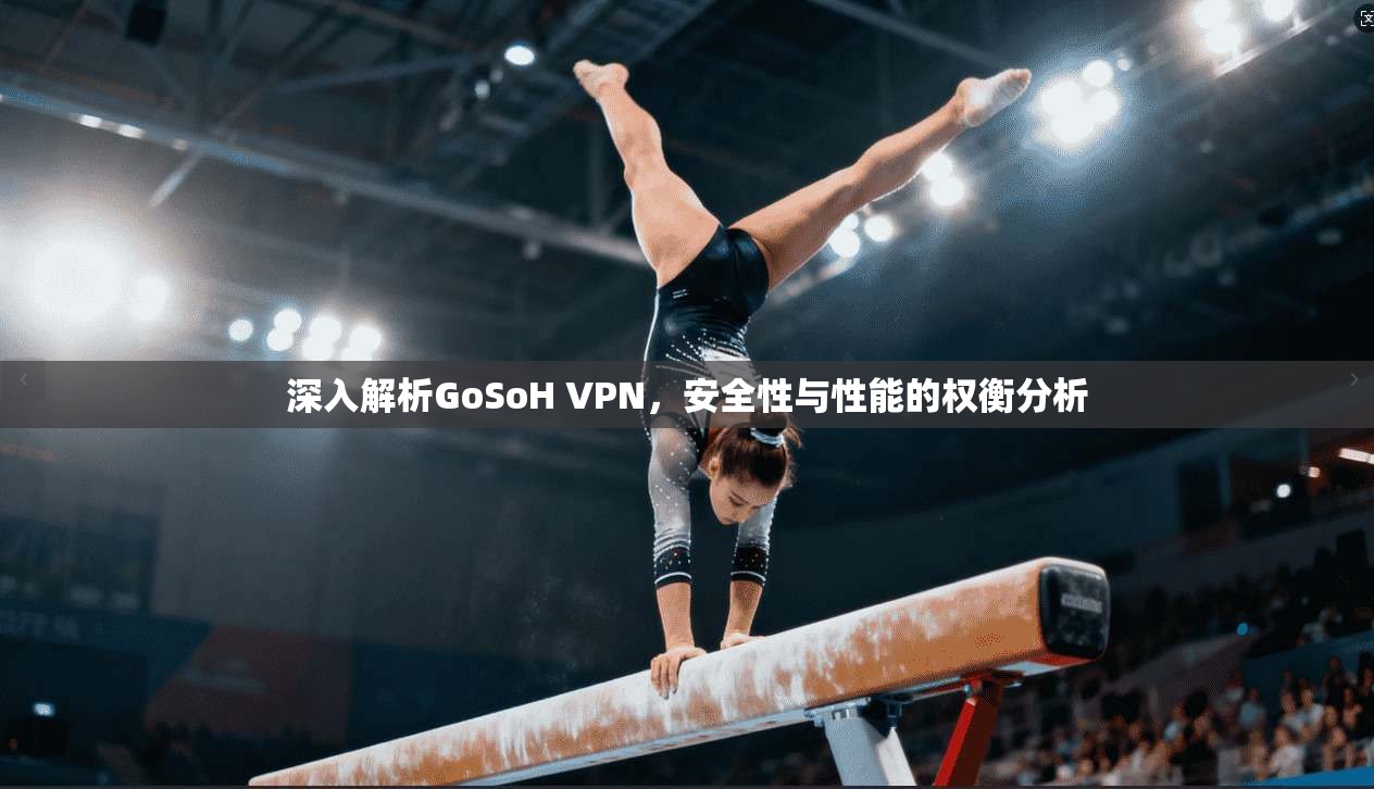 深入解析GoSoH VPN，安全性与性能的权衡分析