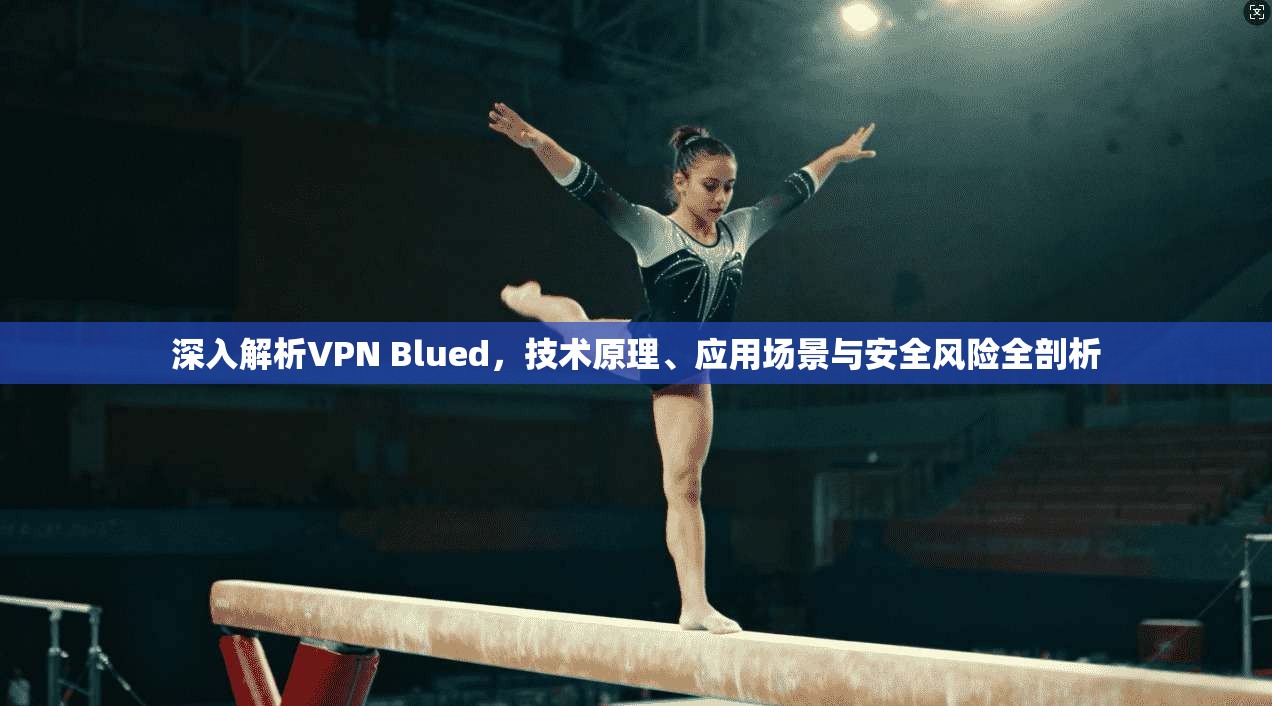 深入解析VPN Blued，技术原理、应用场景与安全风险全剖析