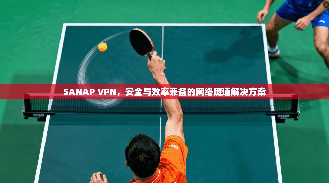 SANAP VPN，安全与效率兼备的网络隧道解决方案
