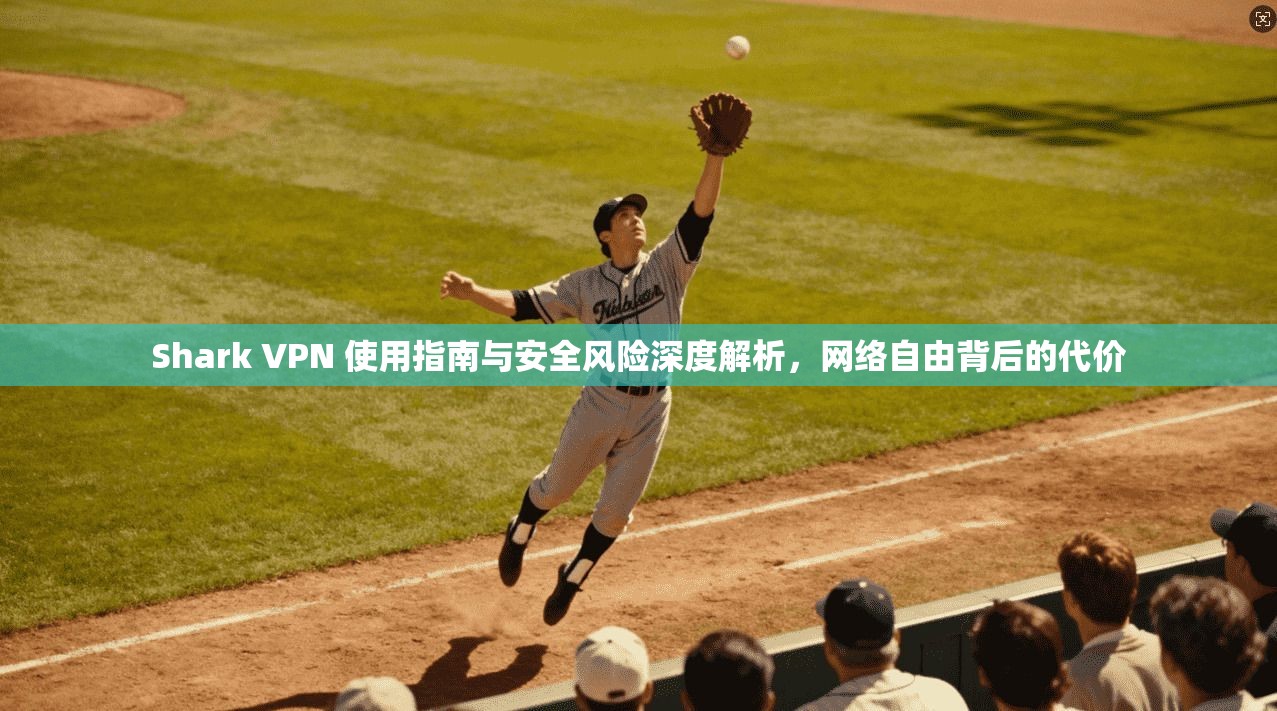Shark VPN 使用指南与安全风险深度解析，网络自由背后的代价