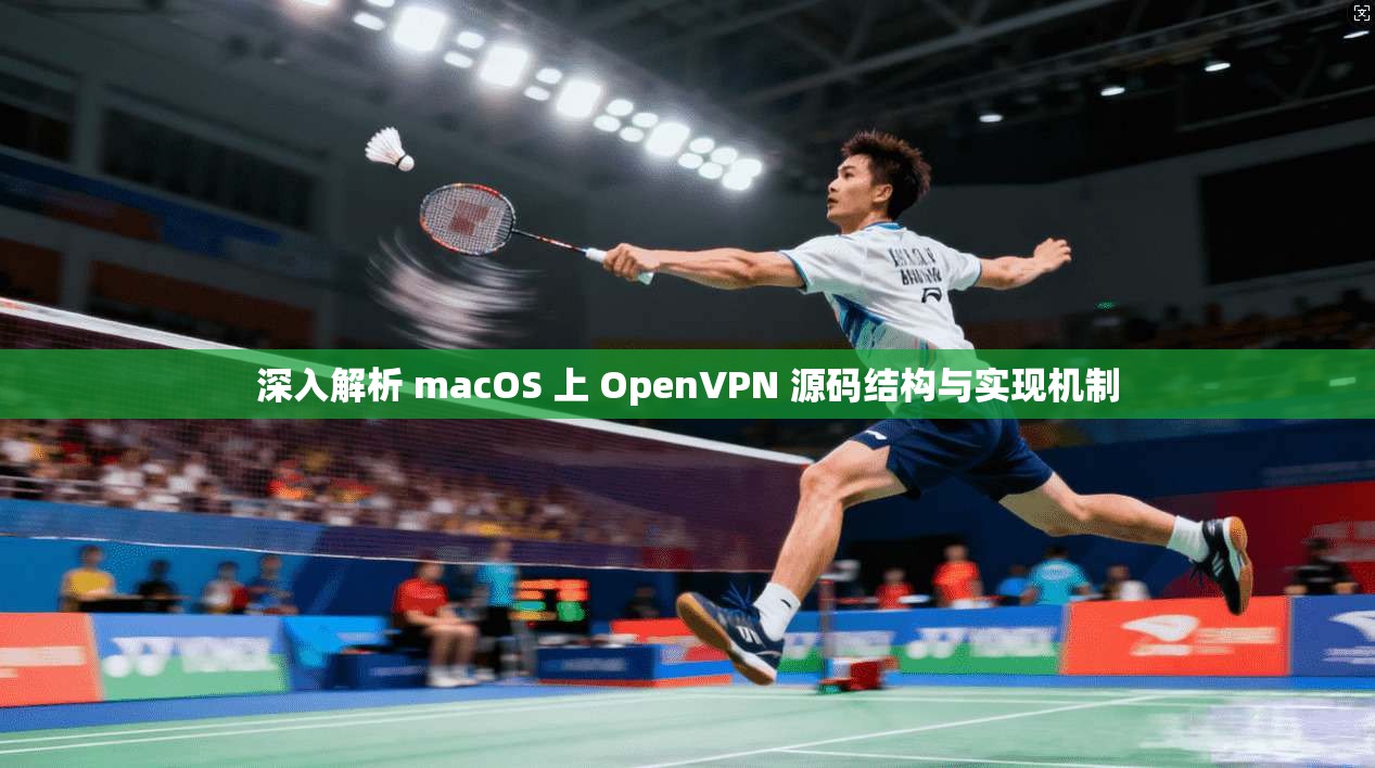 深入解析 macOS 上 OpenVPN 源码结构与实现机制