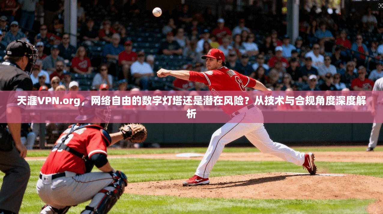 天涯VPN.org，网络自由的数字灯塔还是潜在风险？从技术与合规角度深度解析