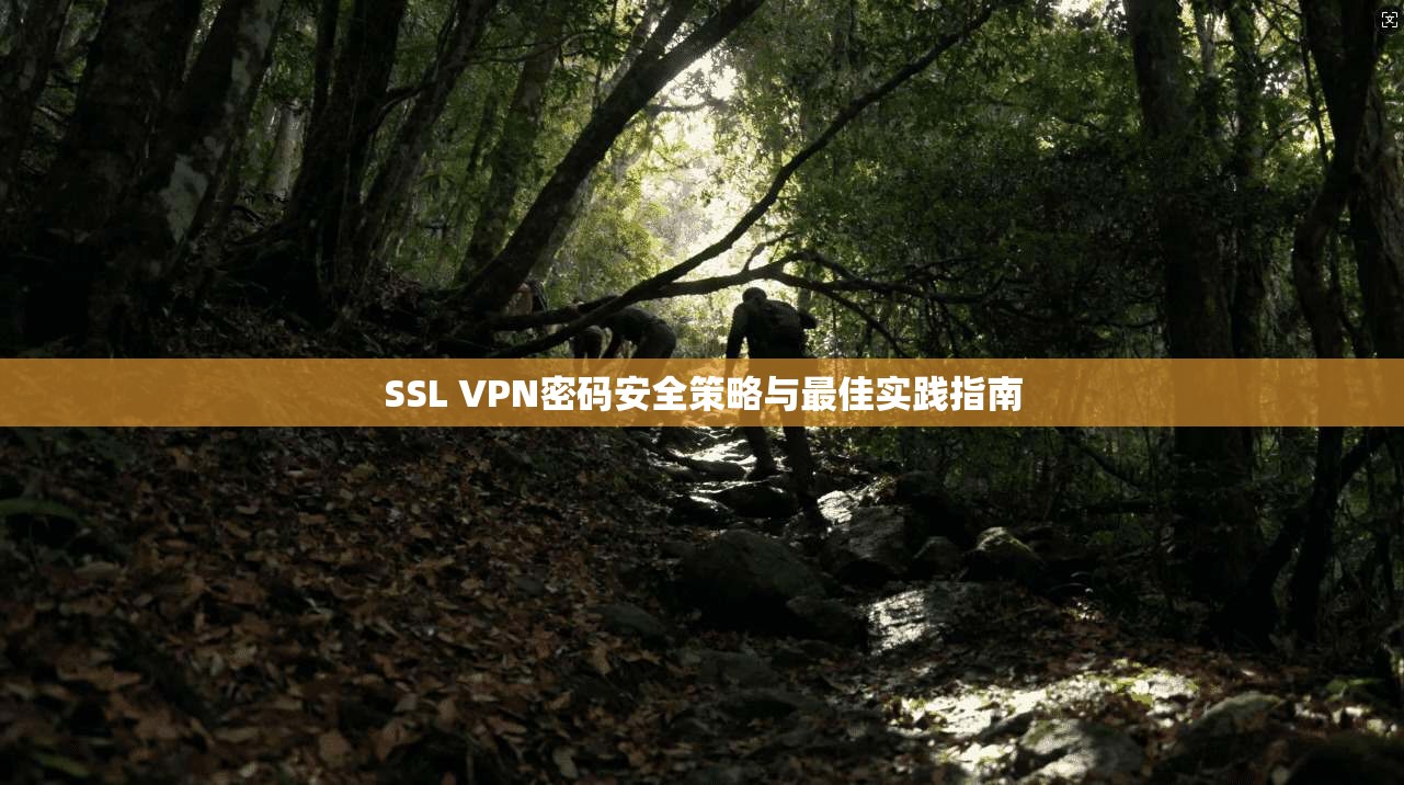 SSL VPN密码安全策略与最佳实践指南