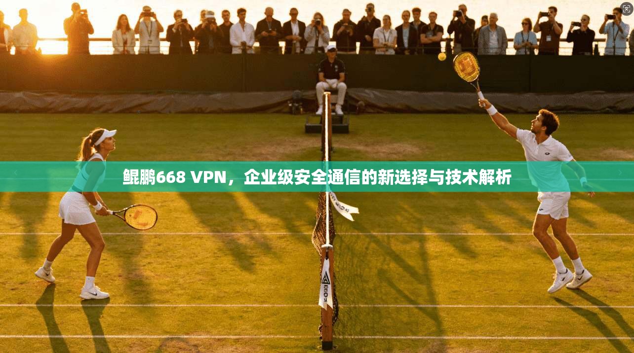 鲲鹏668 VPN，企业级安全通信的新选择与技术解析