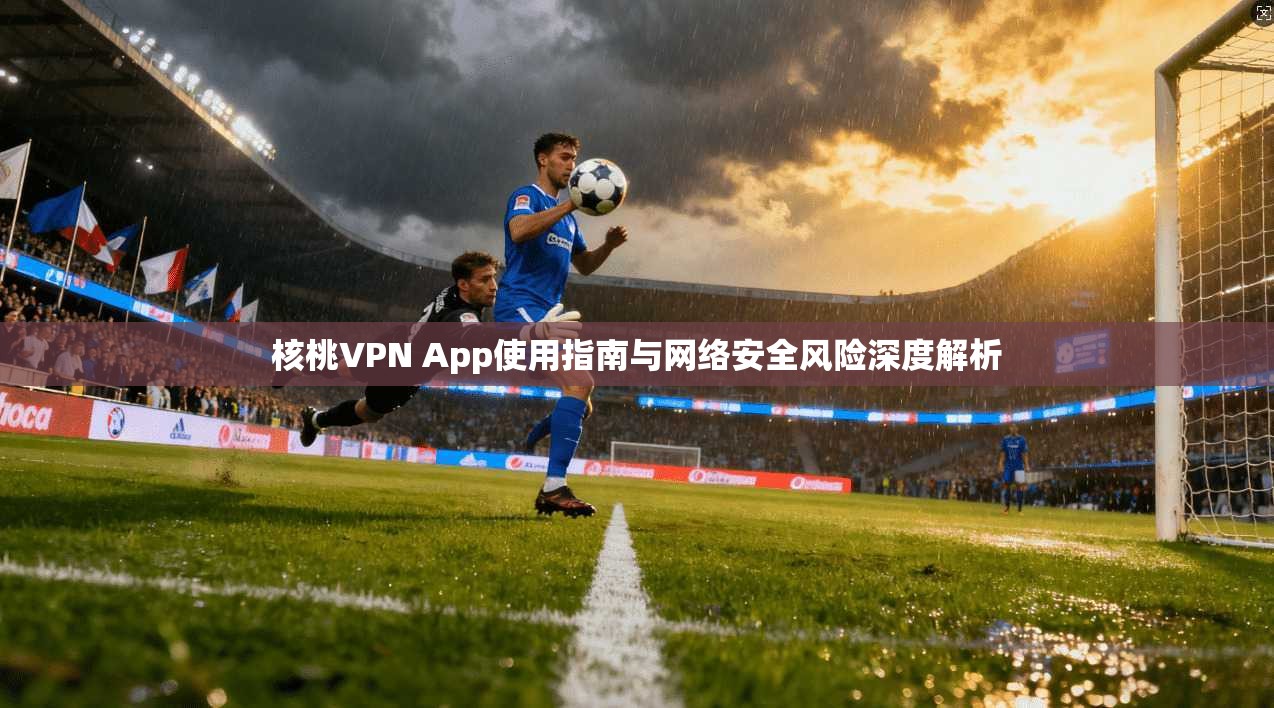 核桃VPN App使用指南与网络安全风险深度解析