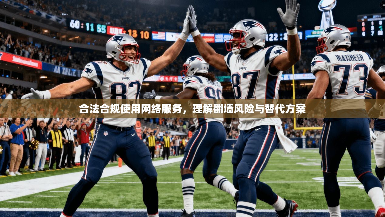 合法合规使用网络服务，理解翻墙风险与替代方案