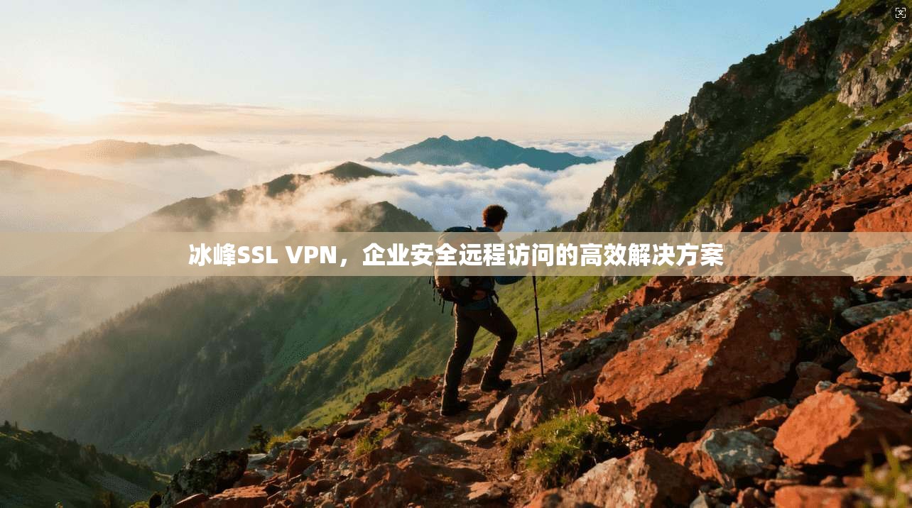 冰峰SSL VPN，企业安全远程访问的高效解决方案