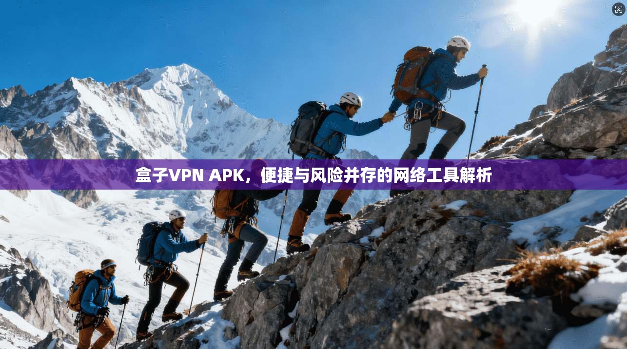 盒子VPN APK，便捷与风险并存的网络工具解析
