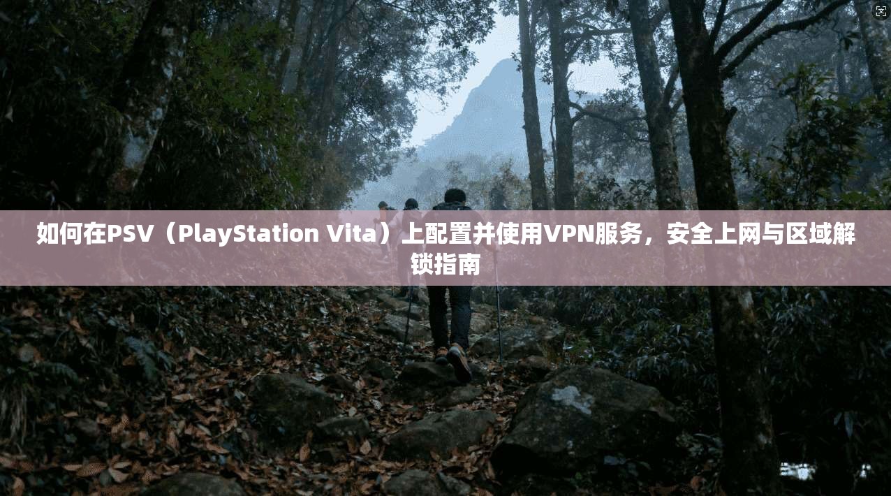 如何在PSV（PlayStation Vita）上配置并使用VPN服务，安全上网与区域解锁指南