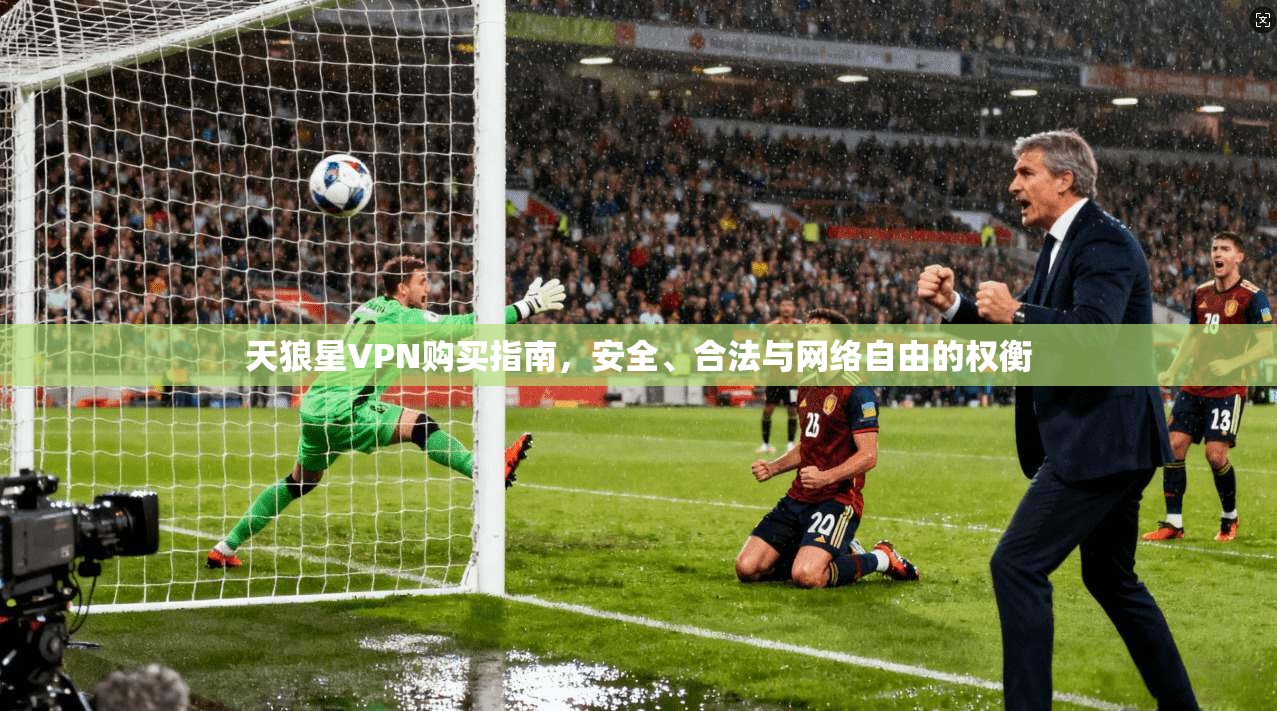 天狼星VPN购买指南，安全、合法与网络自由的权衡