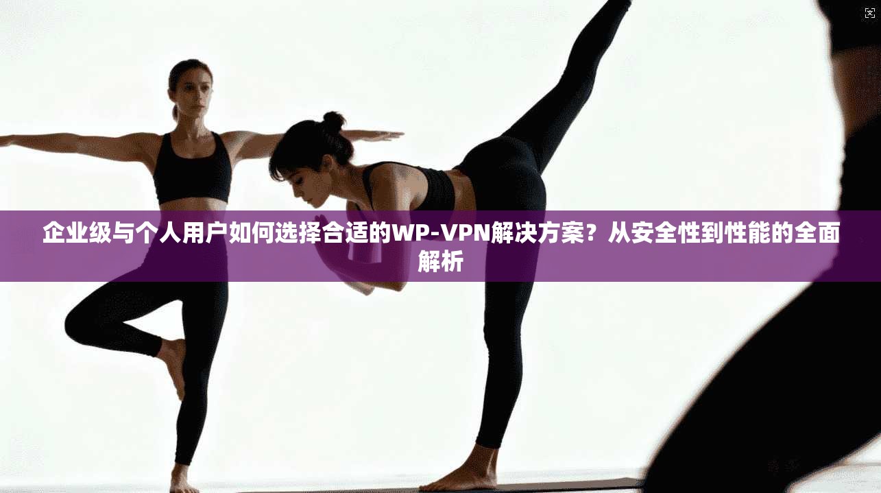 企业级与个人用户如何选择合适的WP-VPN解决方案？从安全性到性能的全面解析