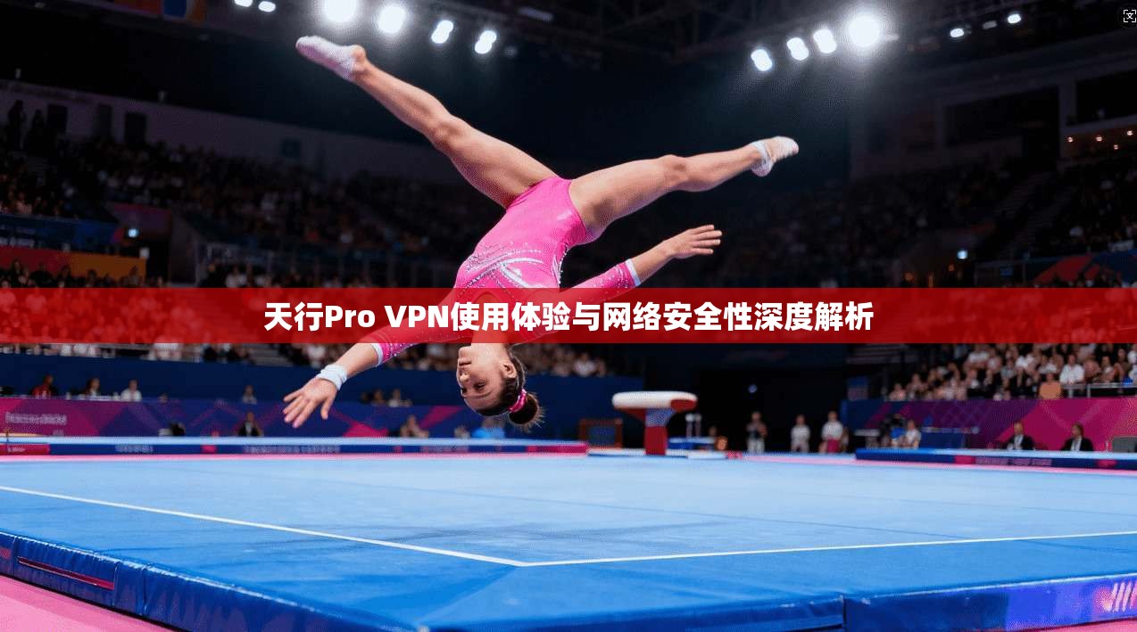 天行Pro VPN使用体验与网络安全性深度解析